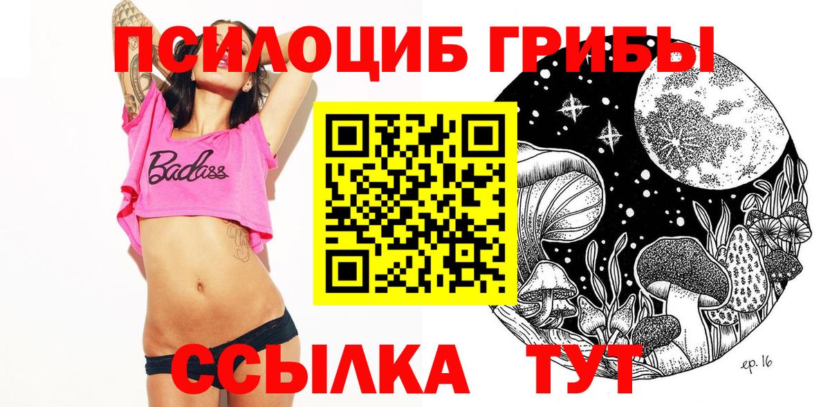Псилоцибиновые грибы Cubensis Гай