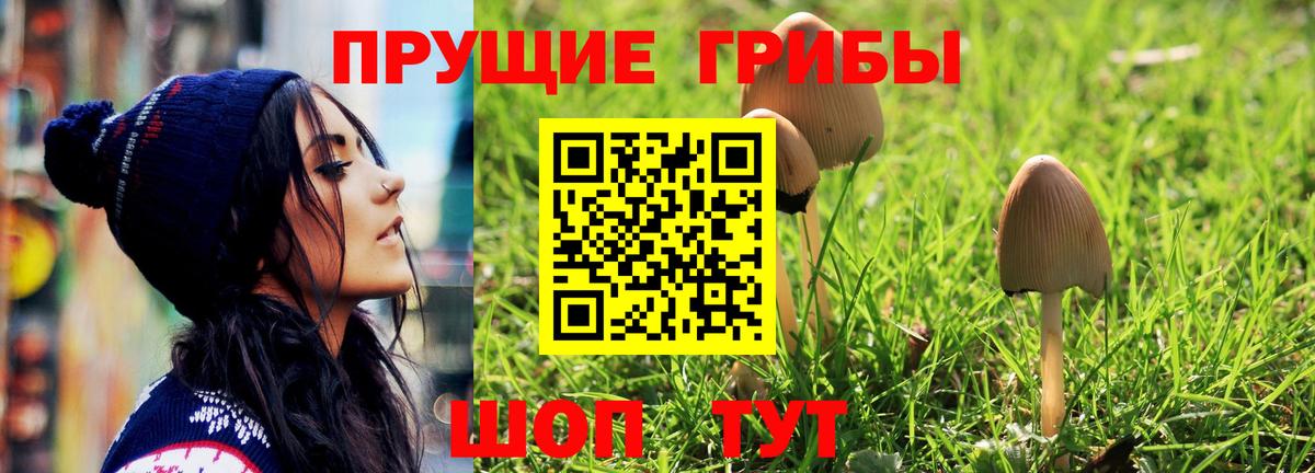 Галлюциногенные грибы мицелий  Псилоцибиновые грибы прущие грибы  Гай  Вход с VPN 